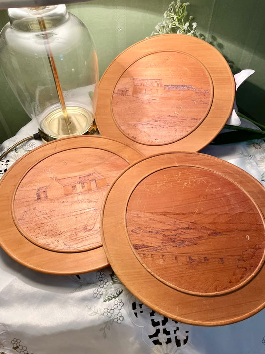 RARE FIND round wooden decor plates featuring hand-carved or etched Japanese landscape scenes  Wooden Rural Landscape Wall Plaques – 12" Set of 3
