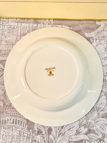 Vintage Blue & Gold Porcelain Rimmed Soup Plate