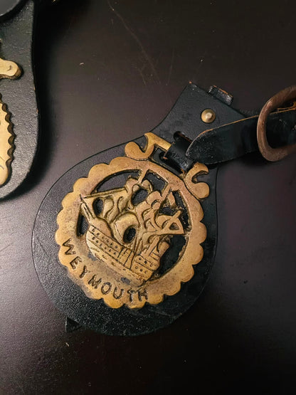 Vintage Brass Souvenir Horse Brasses Set of 2