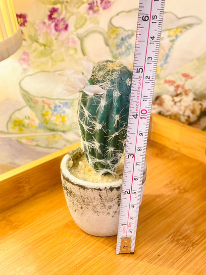 Artificial Cactus in Concrete Pot – Realistic Faux Cactus Plant