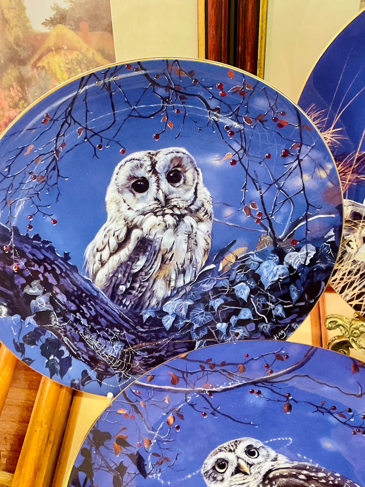 Wedgwood Midnight Hunter Owl Plate – Limited Edition 8” Collectible
