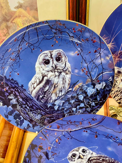 Wedgwood Midnight Hunter Owl Plate – Limited Edition 8” Collectible
