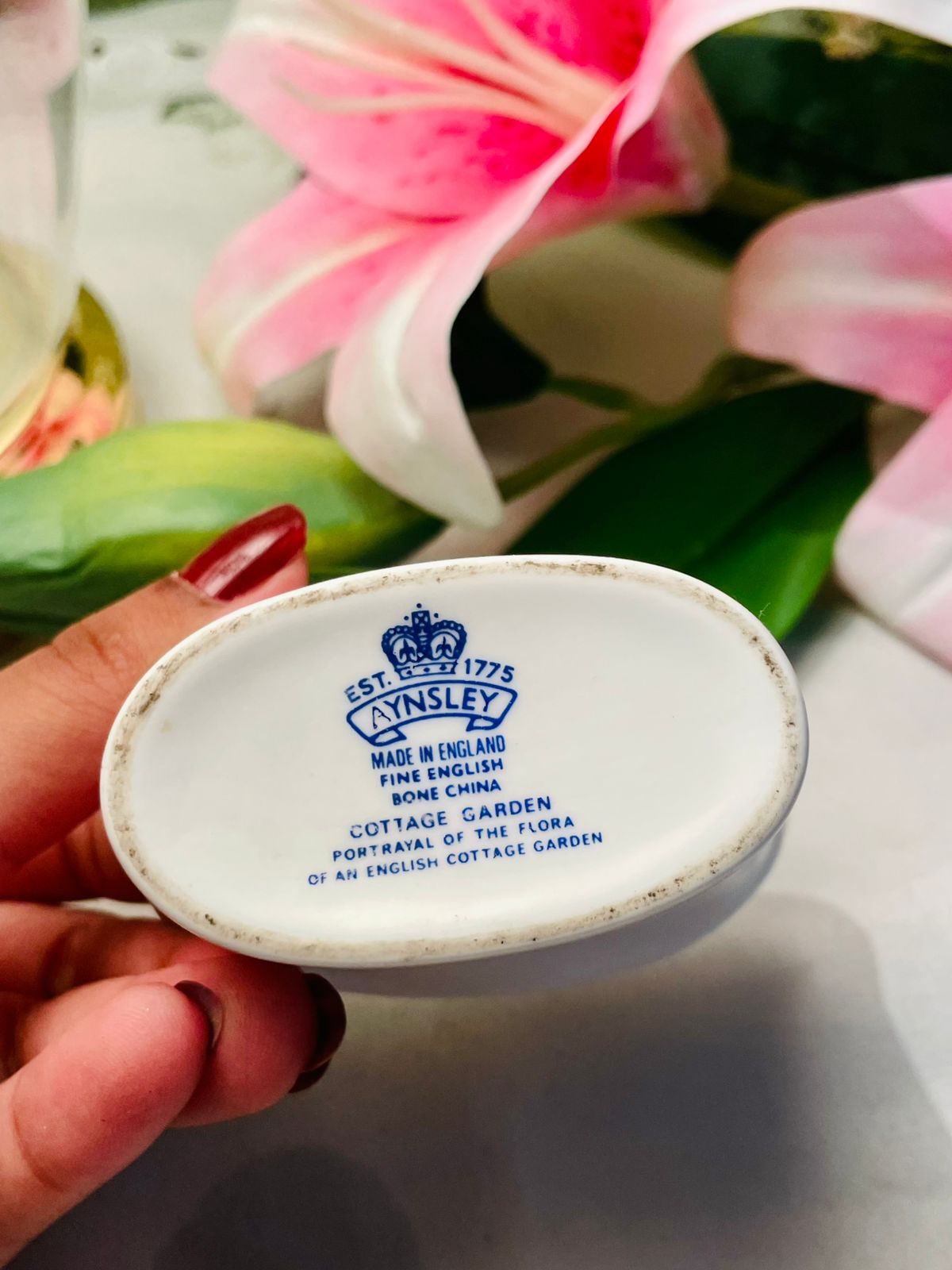 Aynsley Cottage Garden Fine Bone China Decor 8cm