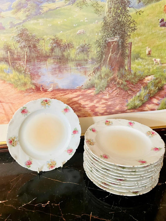 vintage floral dinner plates, porcelain rose plates England, antique crockery set Pakistan, European vintage tableware, rare thrift finds, rose pattern porcelain, heritage European treasures, vintage dinnerware collection, floral porcelain plates, timeless vintage crockery