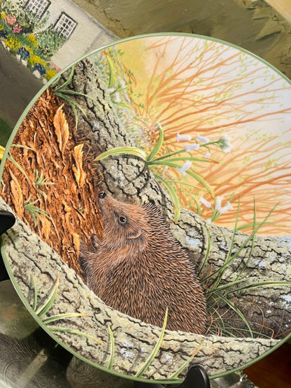 Royal Doulton “Hedgehog” Collector Plate – 8.5in Wildlife Decor