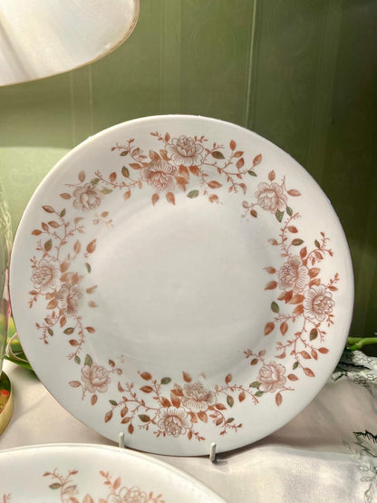 6-Piece Peach Floral Dinner Plate Set 9.5 in Made in England