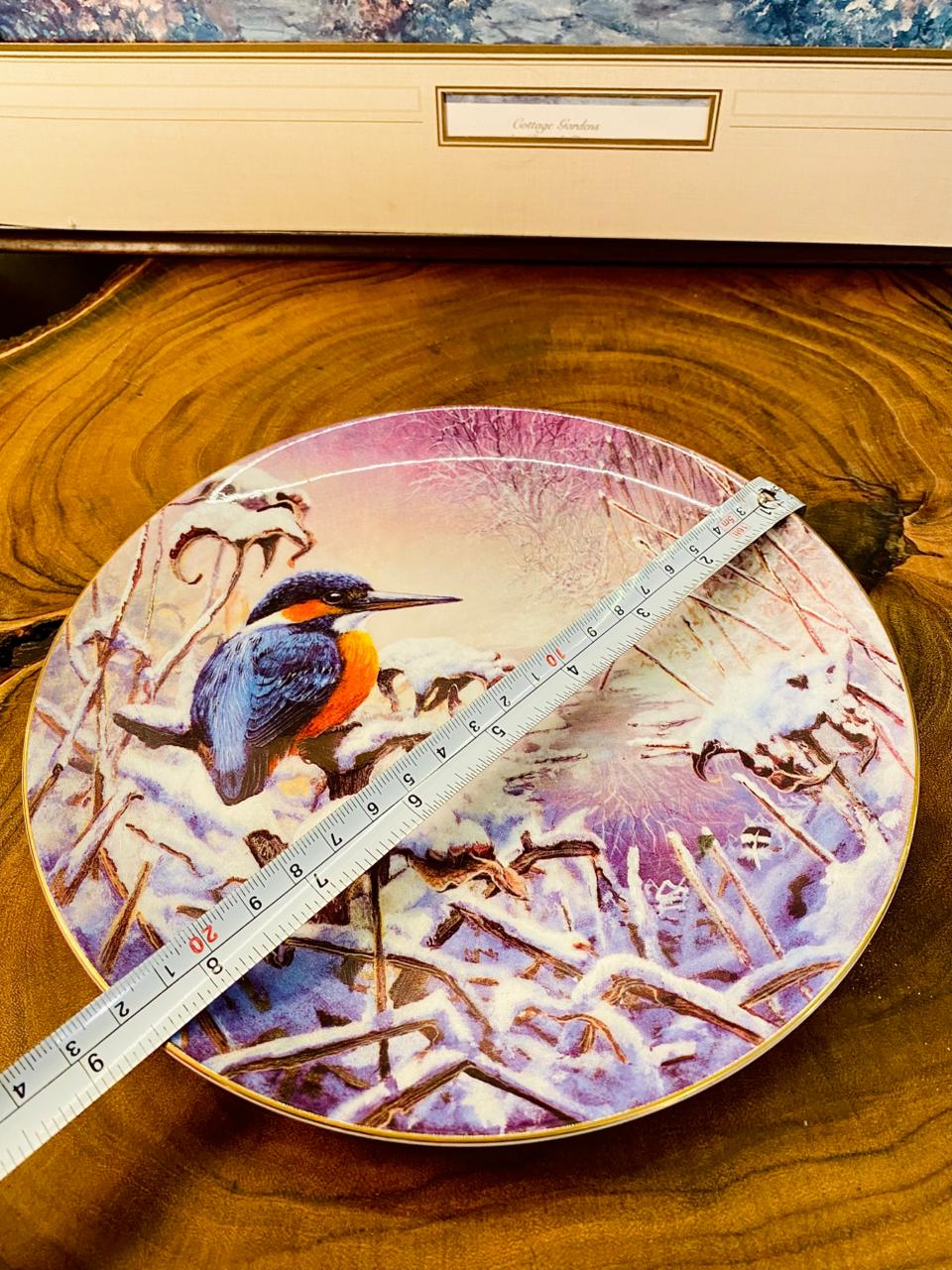 Wedgwood Winter Garden Bird Plate – Bone China England