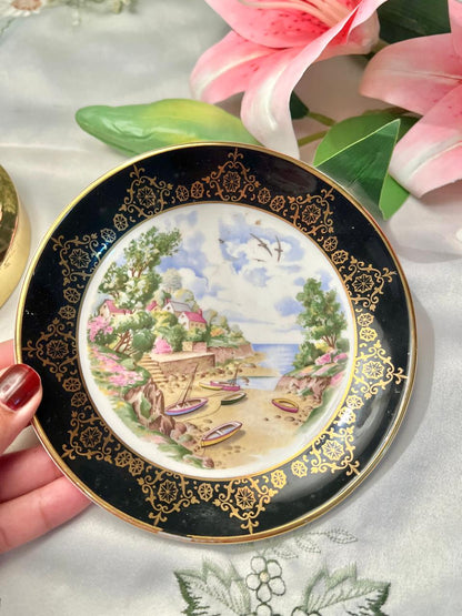 Regency Bone China Scenic Decorative Plate 6 in Made in England