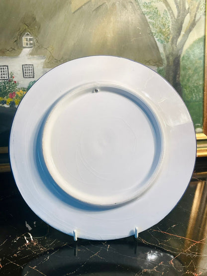 Vintage Hand-Painted Floral Porcelain Dinner Plate or Wall Decor Plate – 22 cm (England)