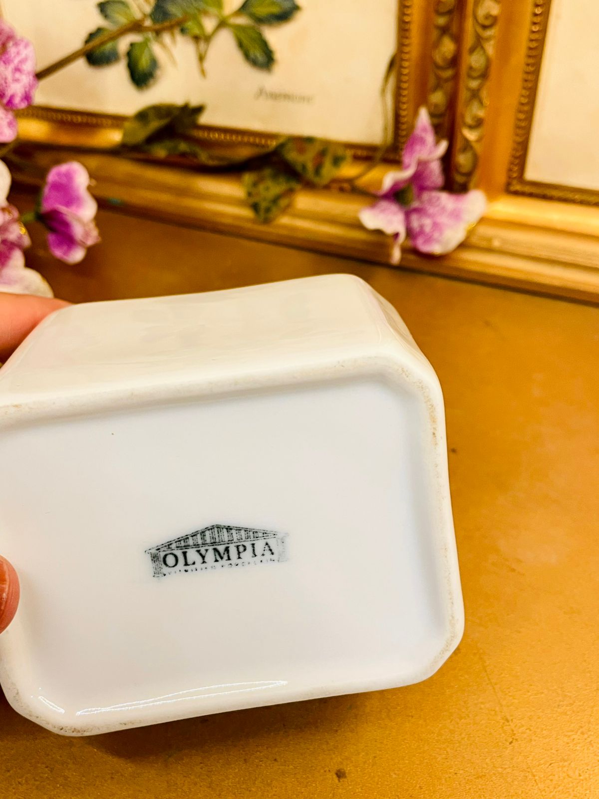 Olympia White Ceramic planter