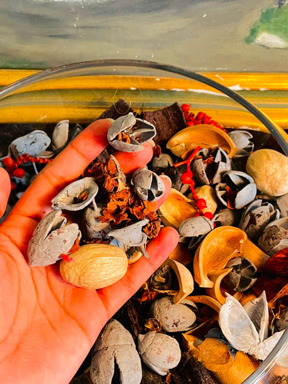 Large Bowl Bowl with Pot Purri – Modern Decorative Centerpiece Display