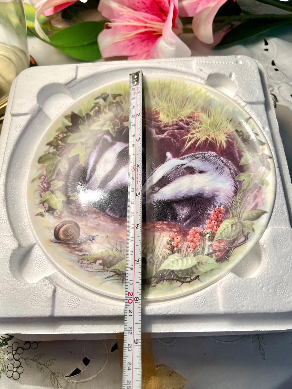 Wedgwood What’s That? Badger Wall Plate 20 cm