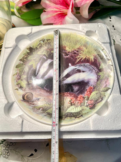 Wedgwood What’s That? Badger Wall Plate 20 cm