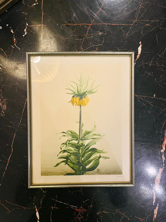 Vintage Framed Botanical Flower Painting Cottage Core Wall Art 10 inch