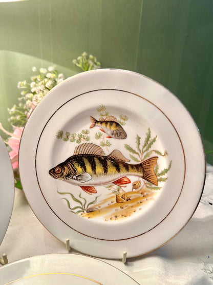 Royal Imperial Fish Design Fine Bone China Plates – 3 Piece Set