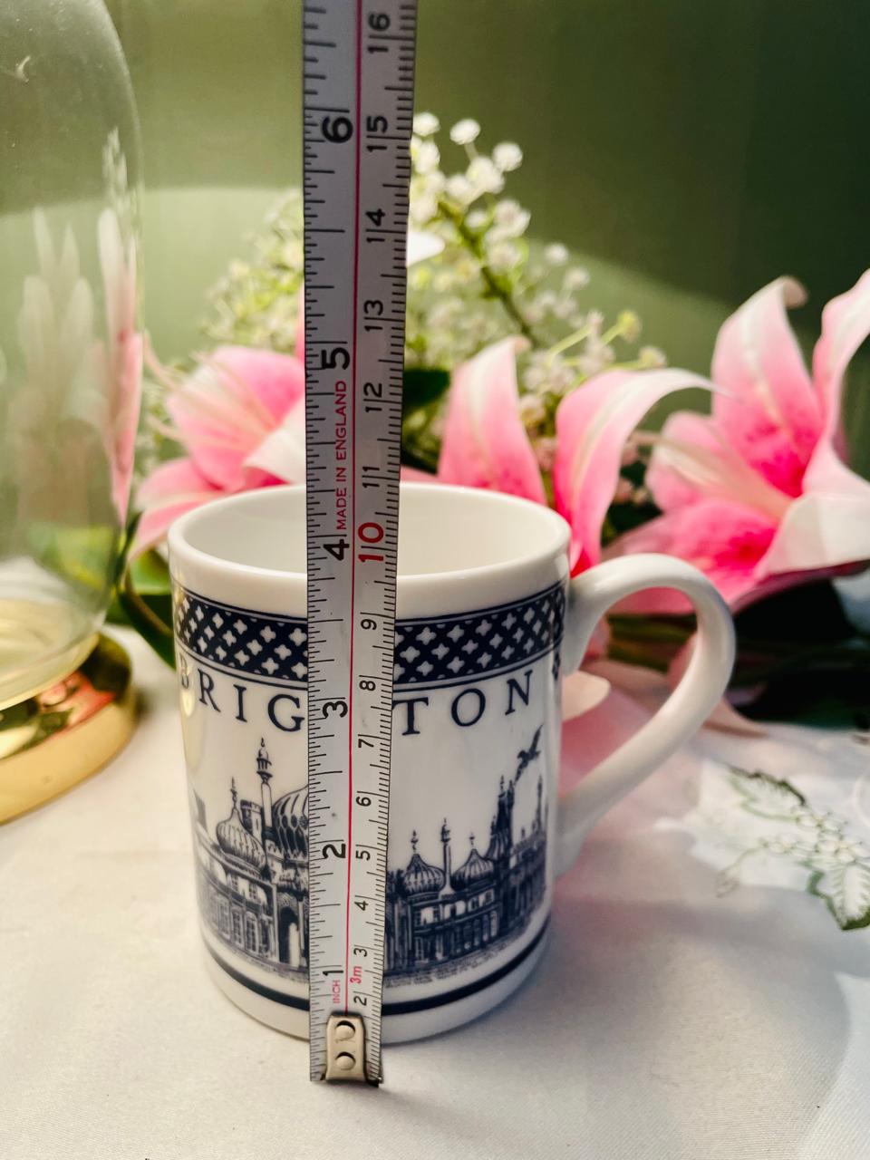 McLaggan Smith Brighton Landmark Mug – Approx. 4.25 Inch