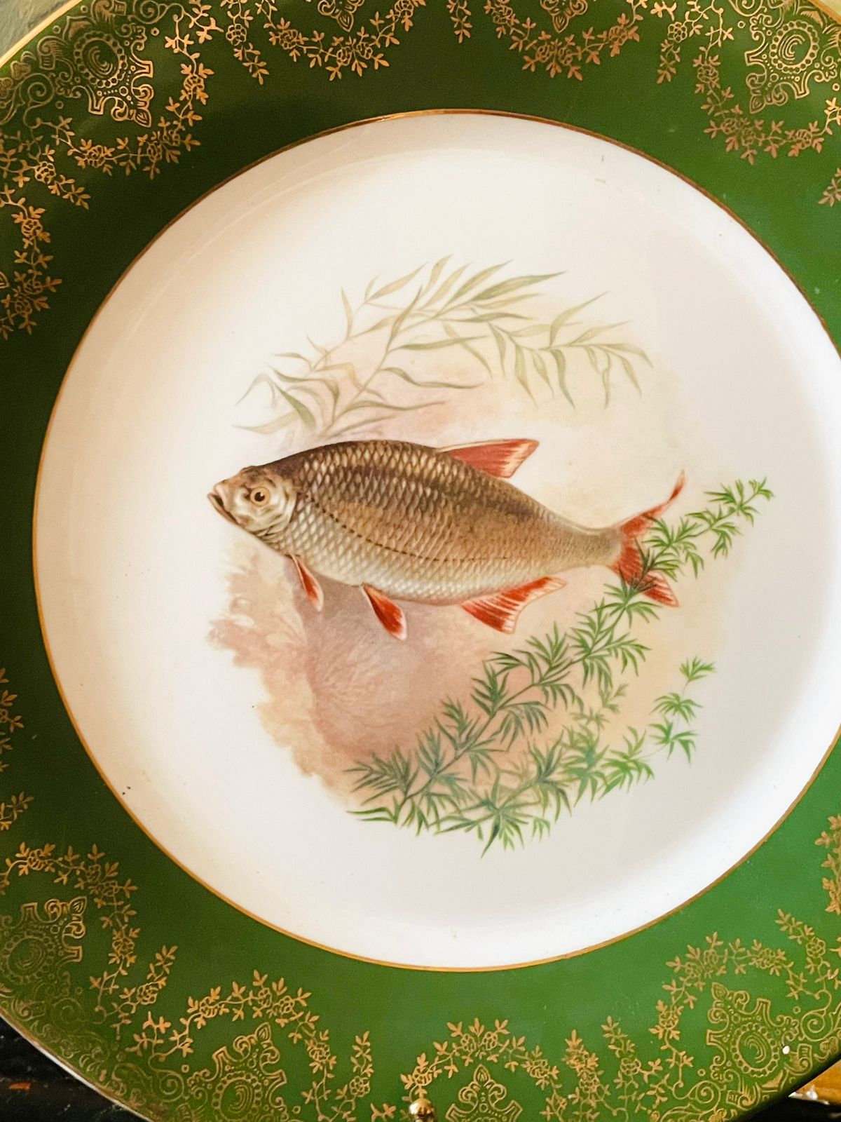 Vintage Hand-Painted Fish Plate – Large decor Plate – Green & Gold Ornate Border Fine Bone China, England