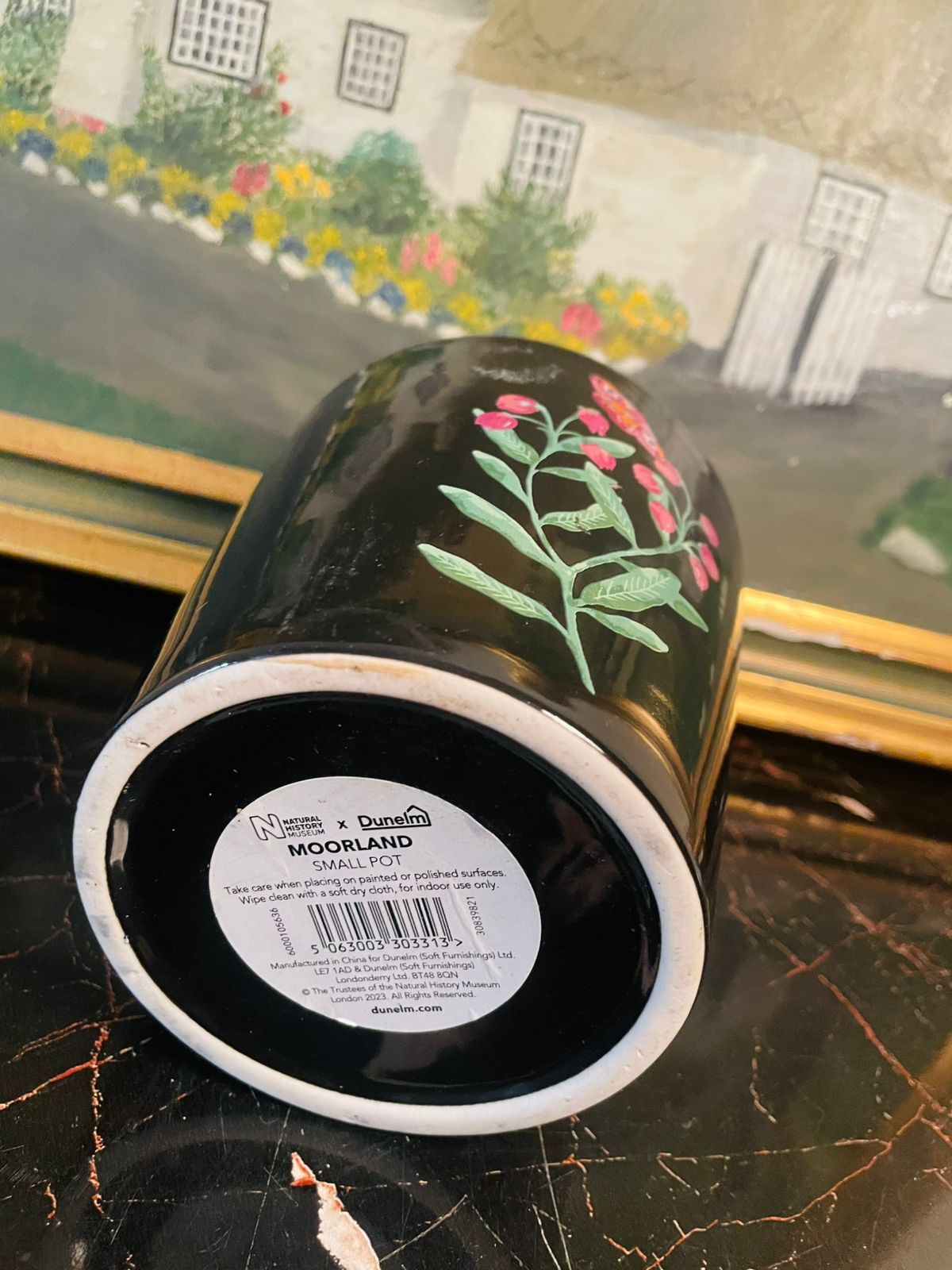 Dunelm x Natural History Museum “Moorland” Small Ceramic Pot ( 11.5 cm ) – Hand-Painted Floral Design. ENGLAND
