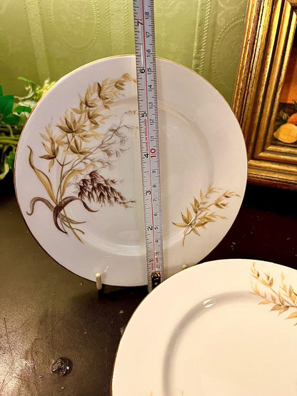 Vintage Fine Bone China Dessert Plates Set of 6 – 6 Inch Gold Rim