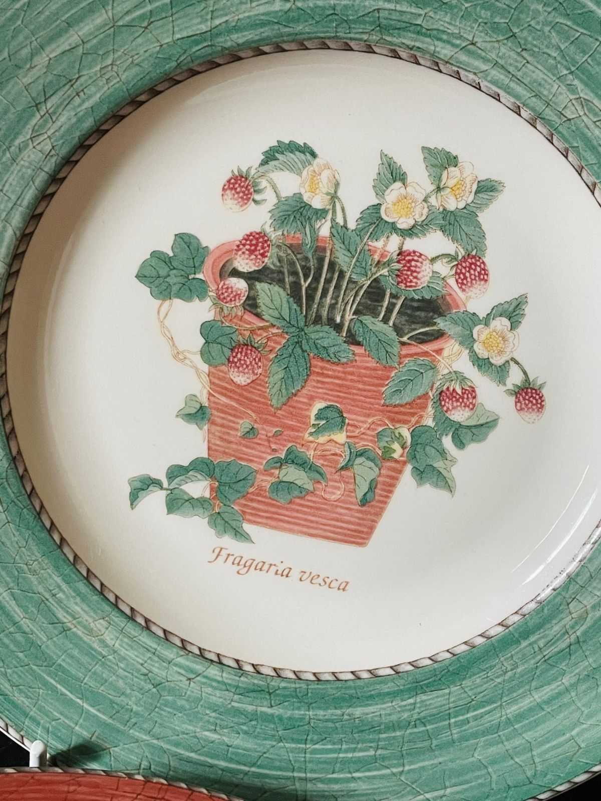 Wedgwood Sarah’s Garden Wall Plates Set of 2 – Ceramic (1997, England), Wall Decor (2200 each)
