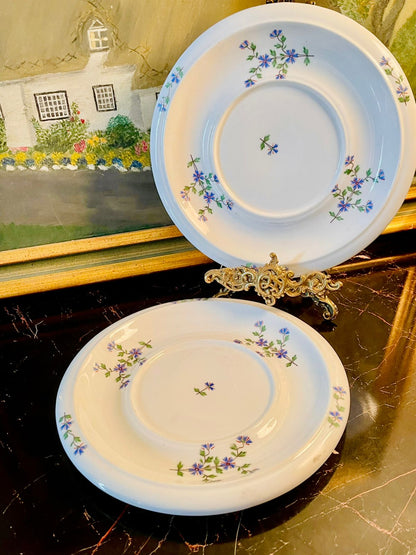 Vintage English Ceramic Coasters with Blue Wildflower Design – Teapot & Mug Mats