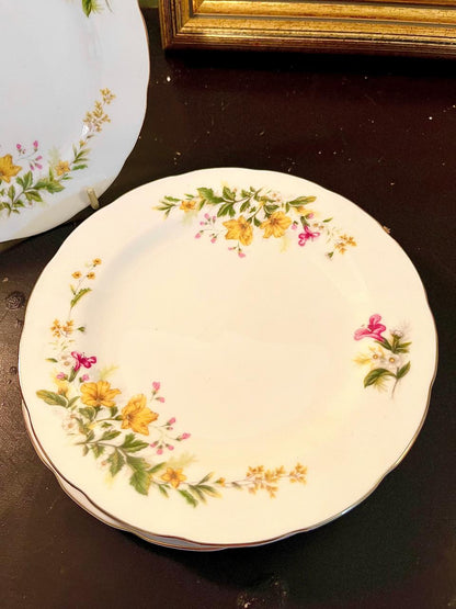 Royal Wessex Clementine Fine Bone China Plates Set of 4 – 6 Inch
