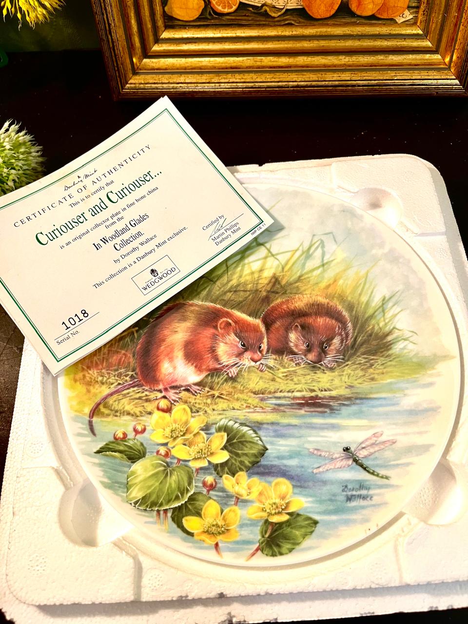 Wedgwood Boxed Decorative Plate Danbury Mint Woodland Glades Water Vole Plate 20 cm