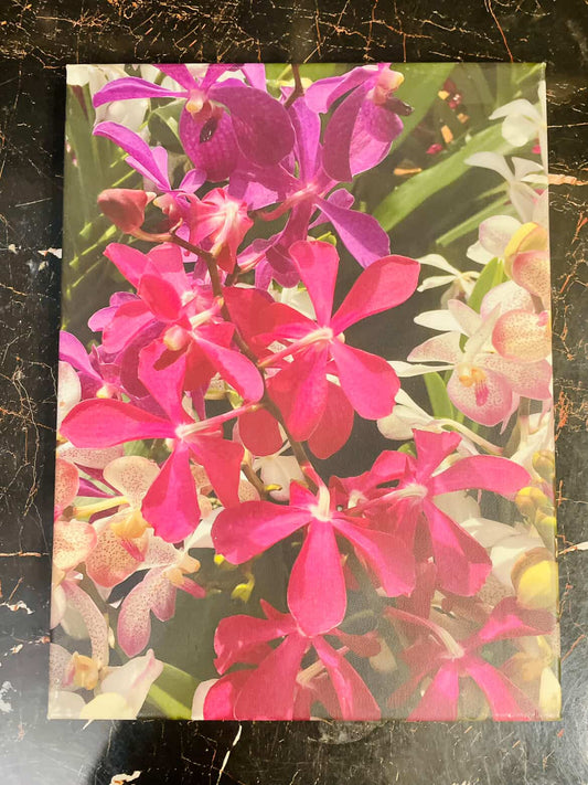 Vibrant Orchid Canvas Wall Art – Botanical Floral Decor