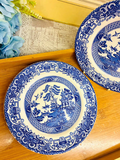 Vintage Blue Willow Plate Set – Porcelain Pair