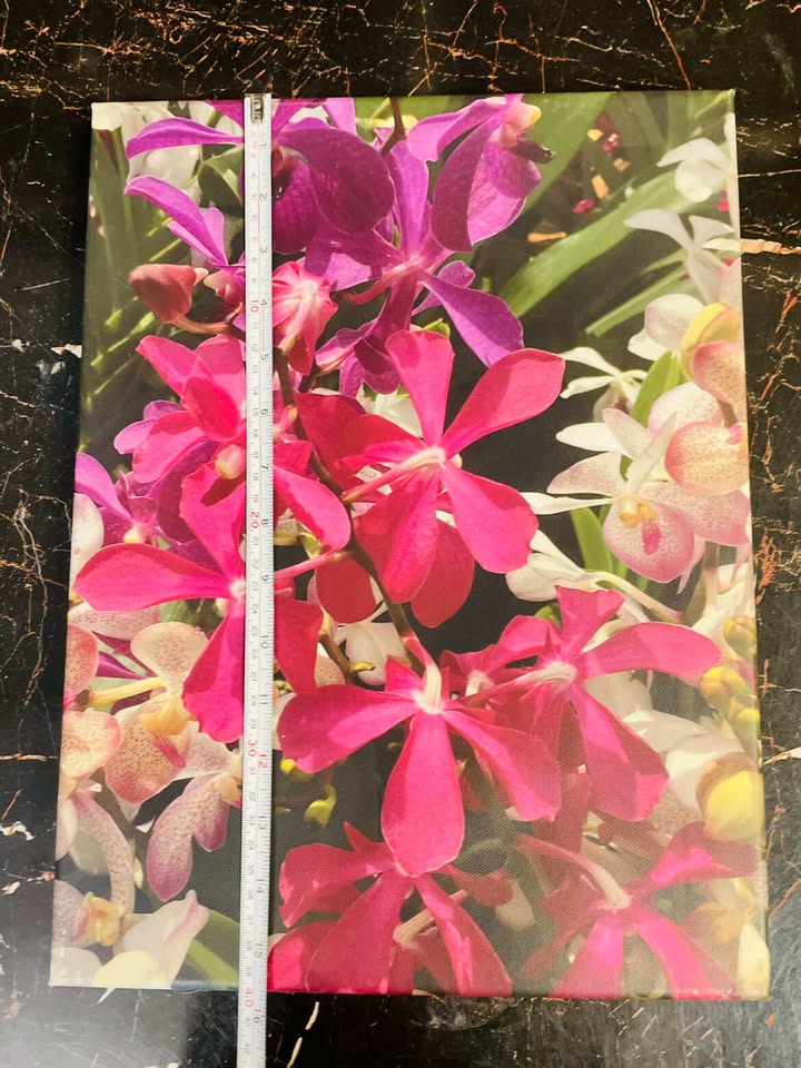 Vibrant Orchid Canvas Wall Art – Botanical Floral Decor
