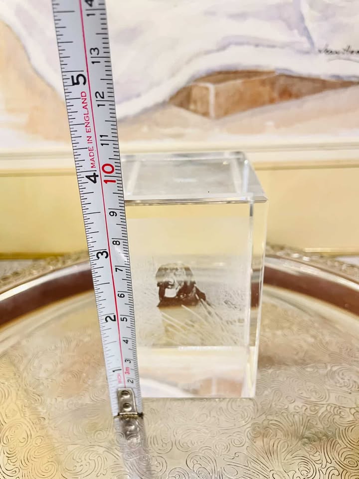 Vintage Crystal Cube Dog Paperweight – 3D Etched