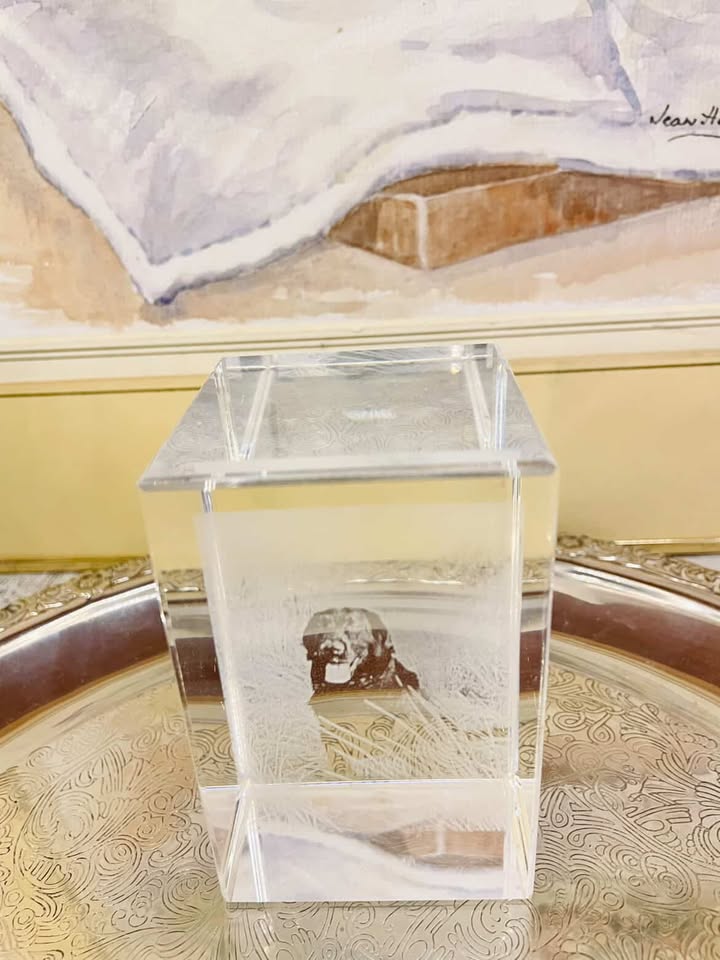 Vintage Crystal Cube Dog Paperweight – 3D Etched