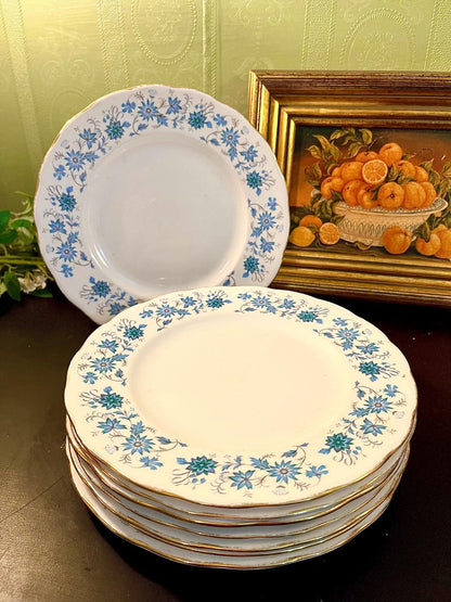 Colclough Bone China Salad Plates Set of 8 – 8 Inch England
