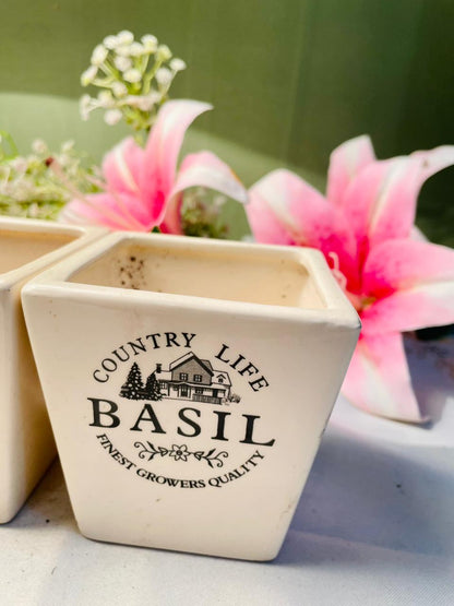 Country Life Basil & Chives Ceramic Herb Planters 2pc Set