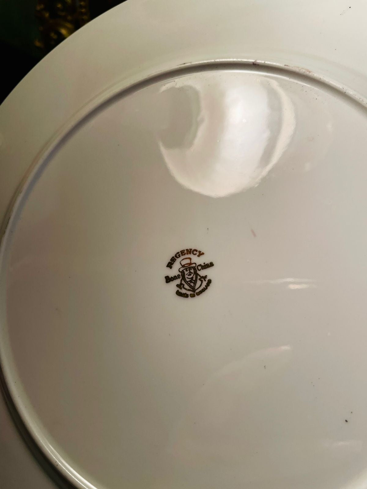 Regency Bone China Bird & Floral Decorative Plate