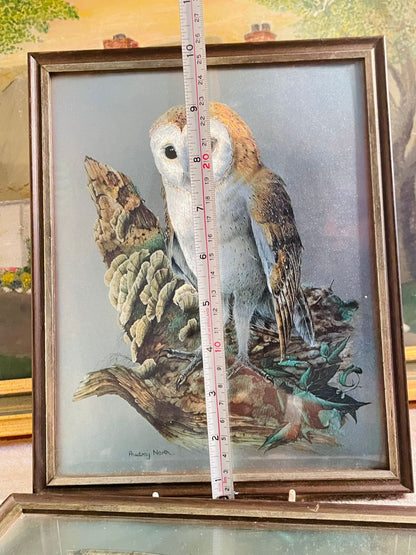 Set of 2 Vintage Audrey North OWL Foil Lithograph Prints – 3D Illustration Framed Art