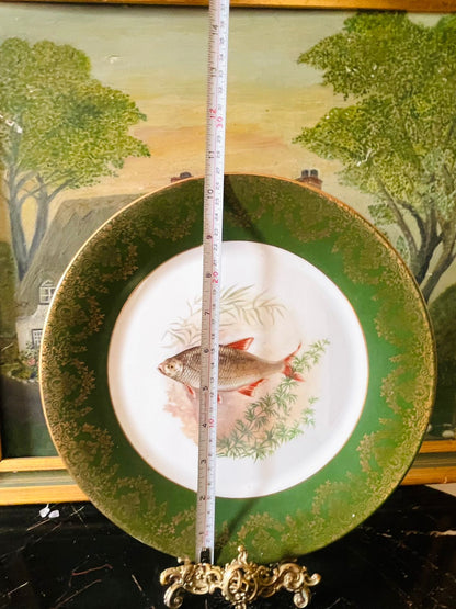 Vintage Hand-Painted Fish Plate – Large decor Plate – Green & Gold Ornate Border Fine Bone China, England