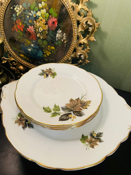 Royal Stafford Beechwood Bone China Cake Set with Serving Platter