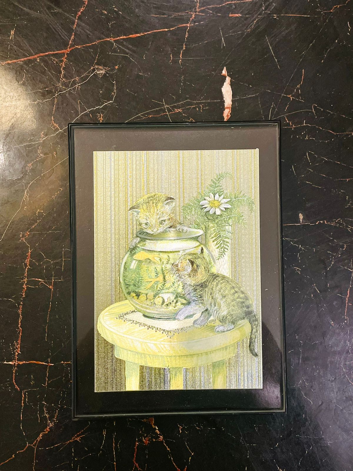 Framed Kitten Fish Bowl Wall Art