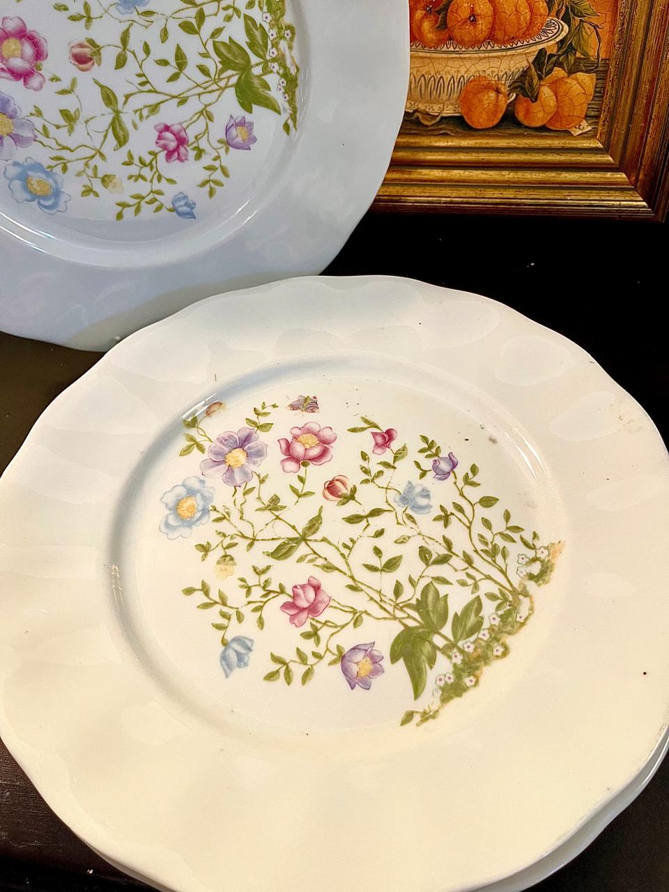 Karolina Poland 10" Floral Dinner Plates Set of 4 Vintage Porcelain