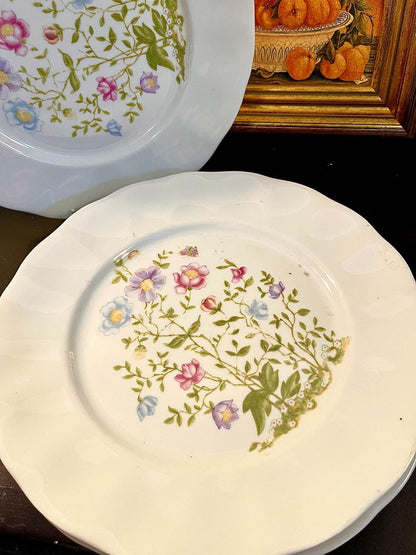 Karolina Poland 10" Floral Dinner Plates Set of 4 Vintage Porcelain