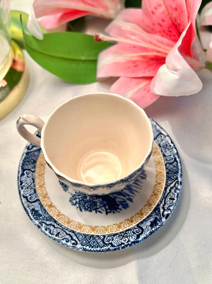 Royal Grafton Chinese Garden Coffee Cup & Saucer Set 2 Piece