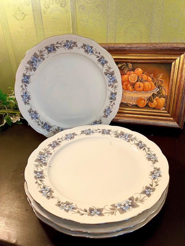 Winterling Bavaria Germany 9.5" Floral Dinner Plates Set of 4