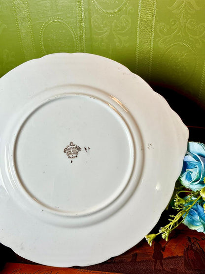 Salisbury Sarum English Bone China Serving Platter 11 Inch