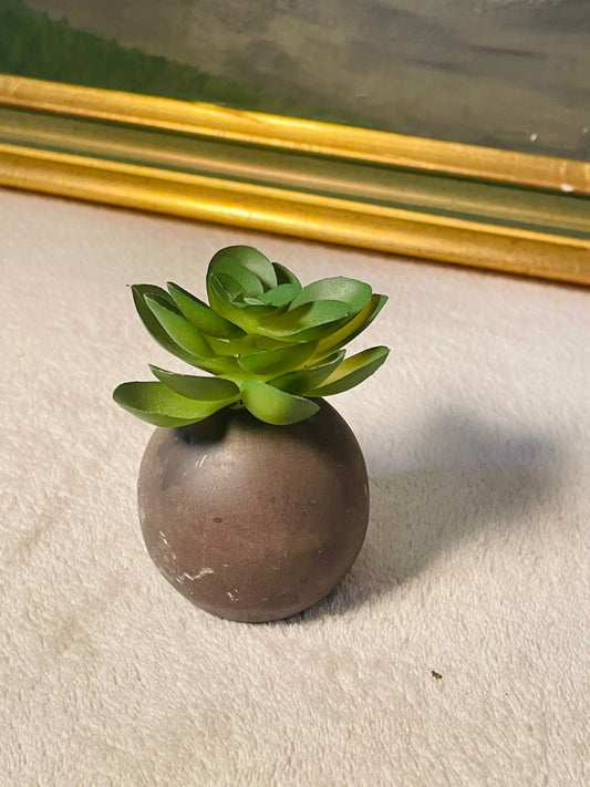 Artificial Mini Succulent Plants in Brown Planter – Faux Potted Greenery Home Decor