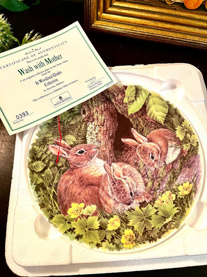 Wedgwood Boxed Decorative Plate Danbury Mint Woodland Glades Rabbit Plate 20 cm