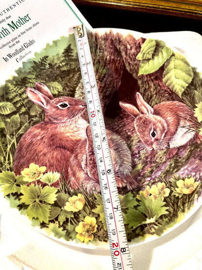 Wedgwood Boxed Decorative Plate Danbury Mint Woodland Glades Rabbit Plate 20 cm