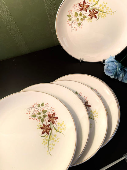 Johnson Bros Floral Fine China Side Plates Set of 6 – 7 Inch