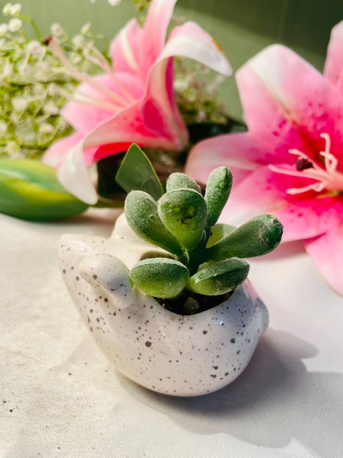 White Turtle Mini Planter with Succulent 3 in