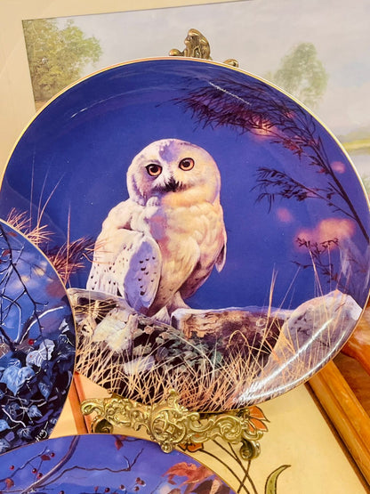 Wedgwood Midnight Hunter Owl Plate – Limited Edition 8” Collectible